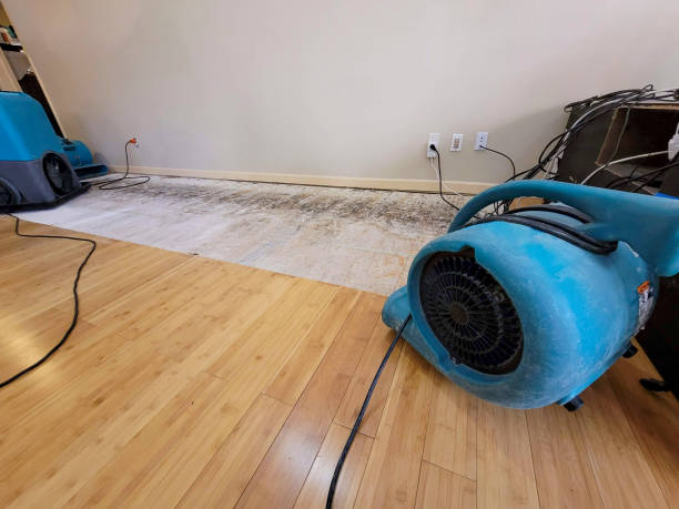 Professional Flood Damage Cleanup technician working in Naoma, WV